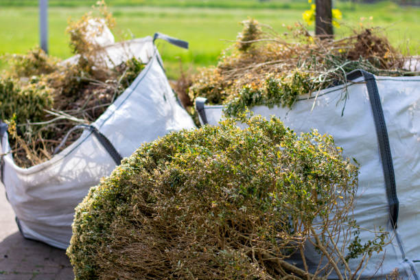 Best Basement Cleanout Services  in Mianna, AR